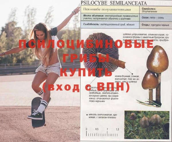 меф Алзамай