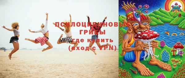 стаф Алексеевка