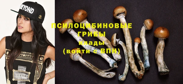 стаф Алексеевка