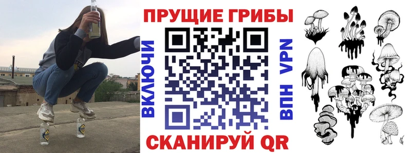 закладка  Грязовец  kraken ТОР  Галлюциногенные грибы мицелий 